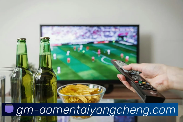 App Interface Preview